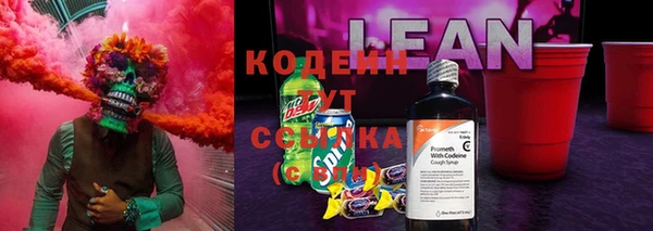 ГАЛЛЮЦИНОГЕННЫЕ ГРИБЫ Алексин
