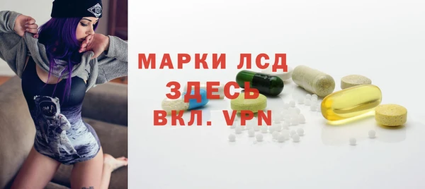 ГАЛЛЮЦИНОГЕННЫЕ ГРИБЫ Алексин
