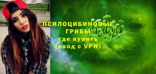 ГАЛЛЮЦИНОГЕННЫЕ ГРИБЫ Алексин