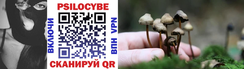 Галлюциногенные грибы GOLDEN TEACHER дарк нет официальный сайт Нижнеудинск